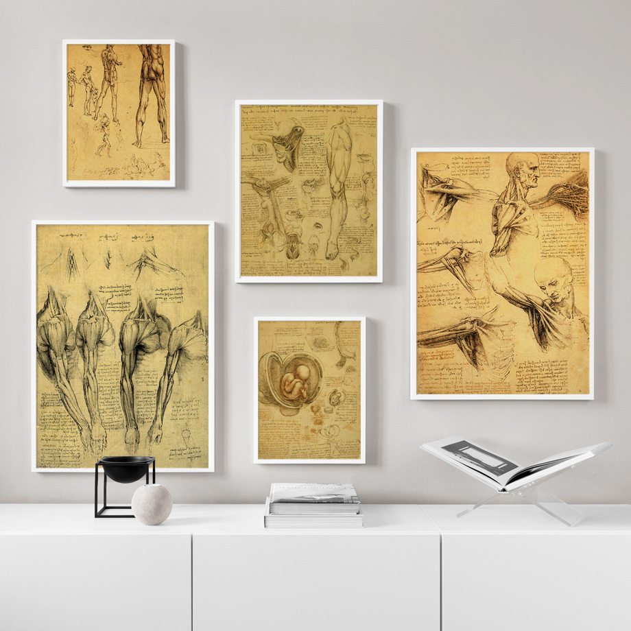 Retro Art ภาพวาดผ้าใบ Da Vinci - Office Furniture York บทวิจารณ์และราคา