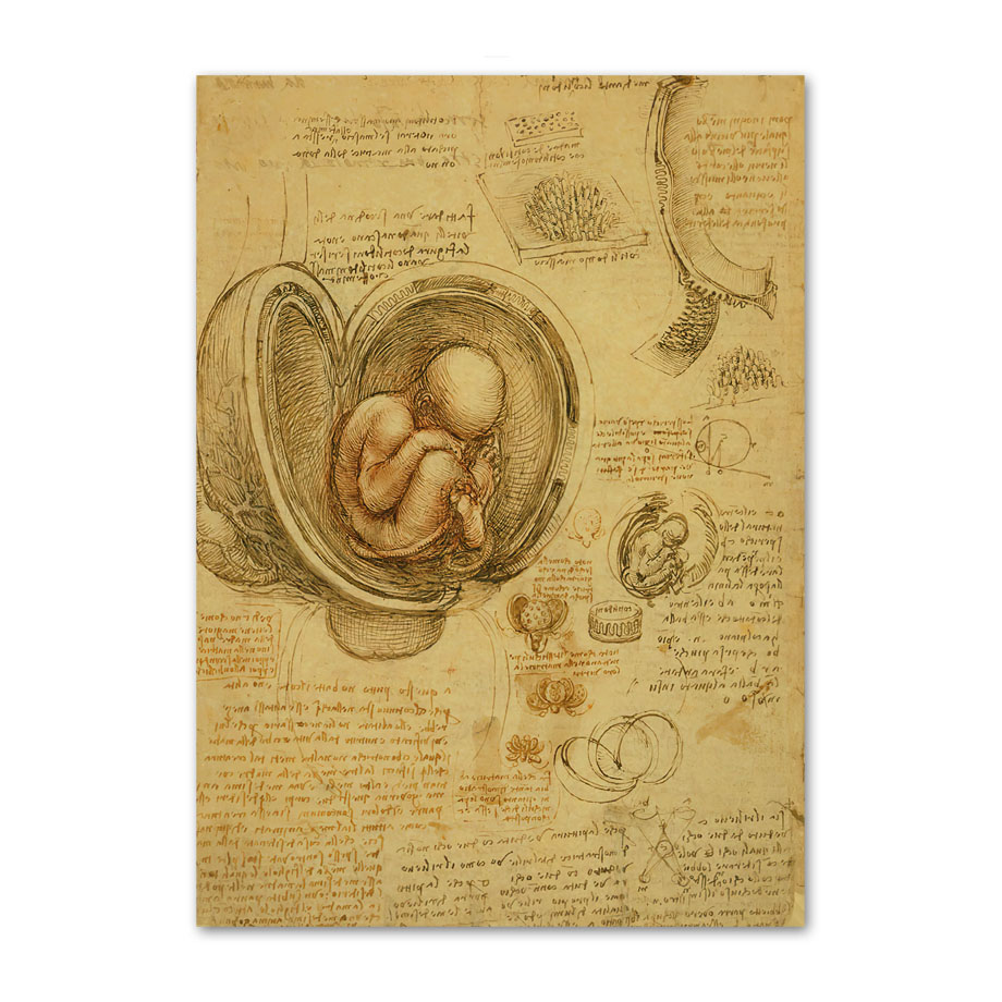 Retro Art ภาพวาดผ้าใบ Da Vinci - Office Furniture York บทวิจารณ์และราคา